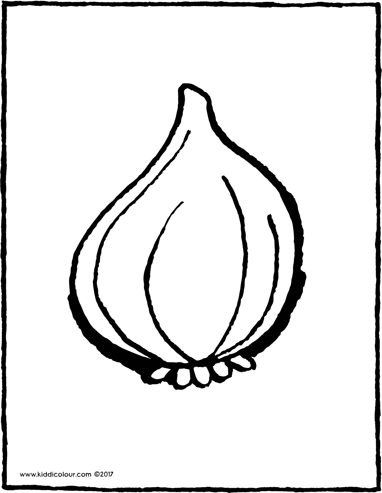 1240x1600 Onion