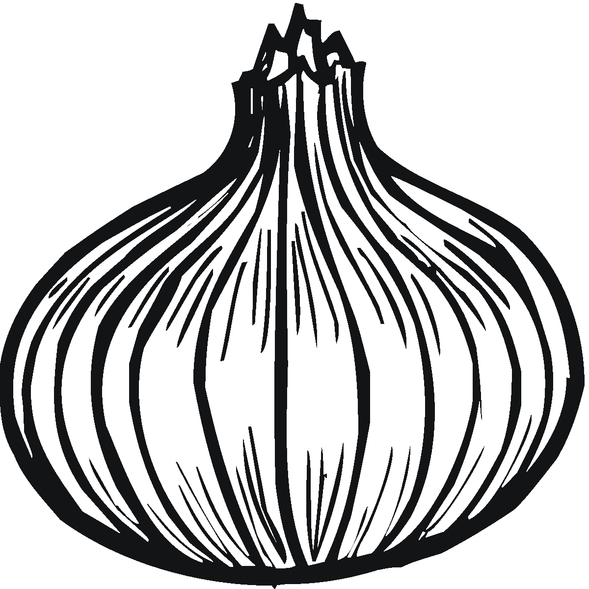 1200x1200 Onion