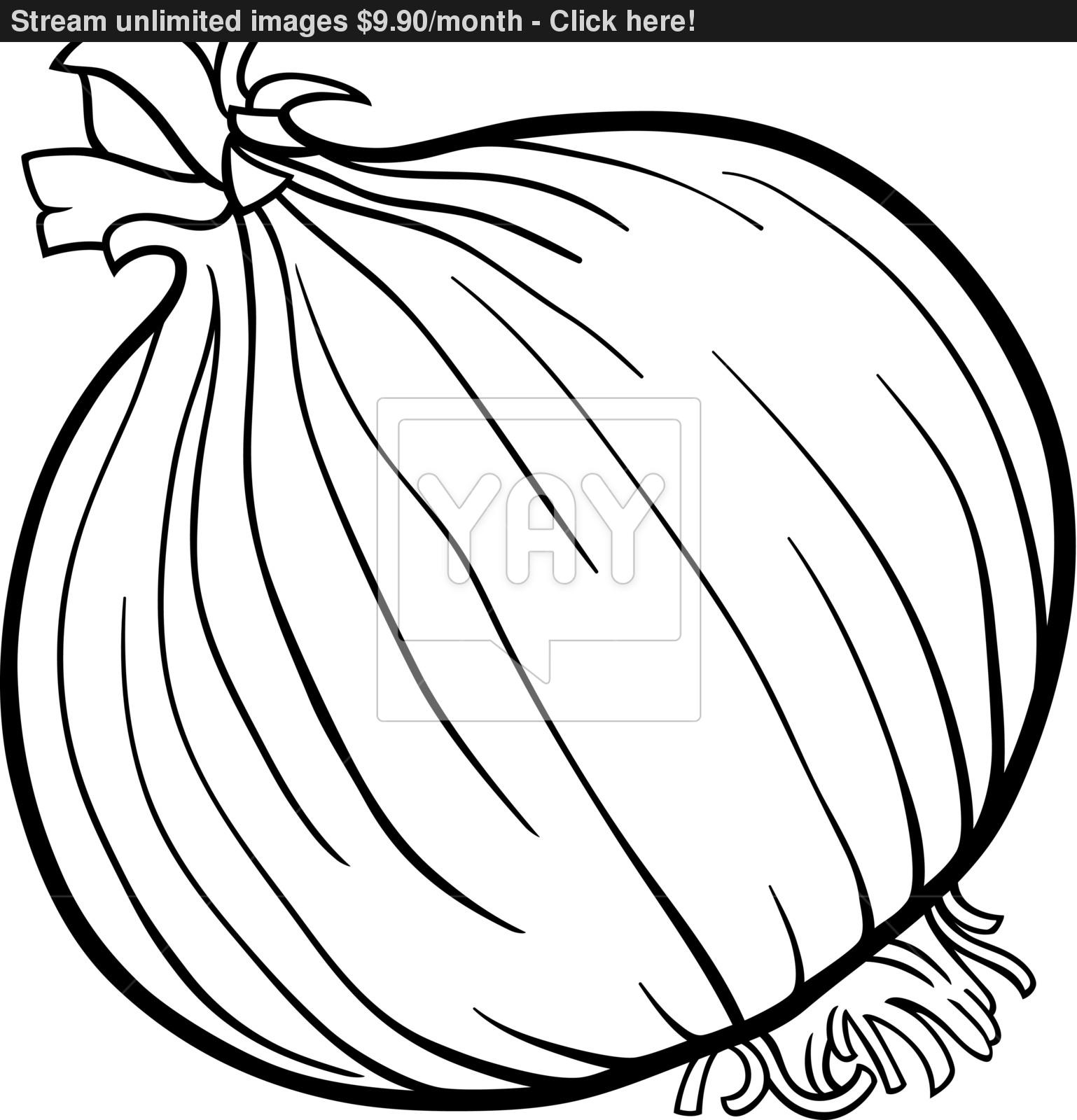 1538x1600 Onion Vegetable Cartoon For Coloring Book Vector