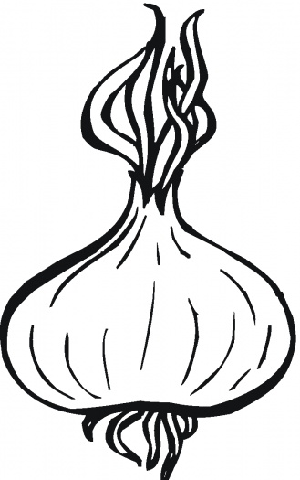 329x525 Onions to color Onion 10 Coloring Page Clipart