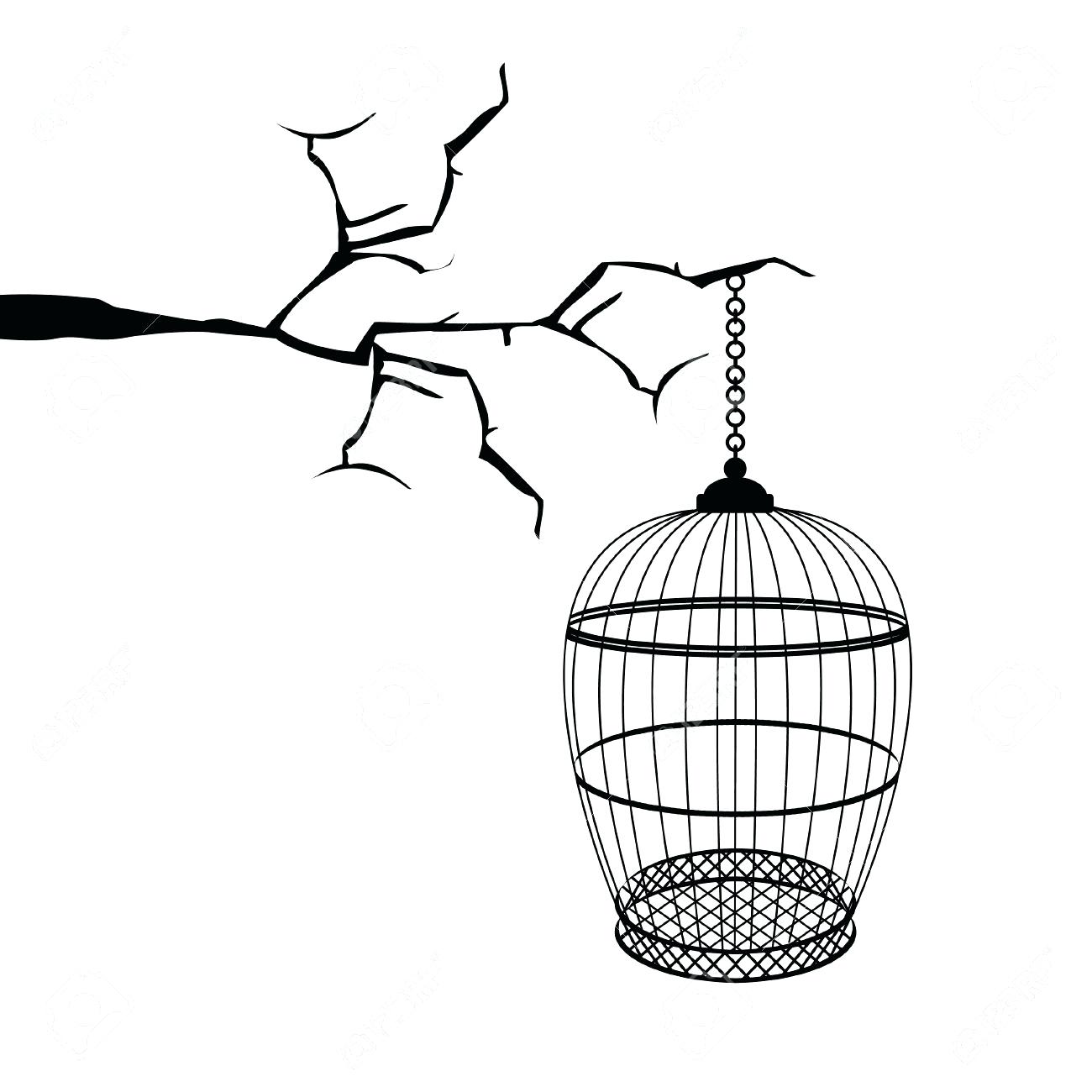 1300x1300 African Grey Bird Cage Old Wooden Hanging Empty On A Whitewashed