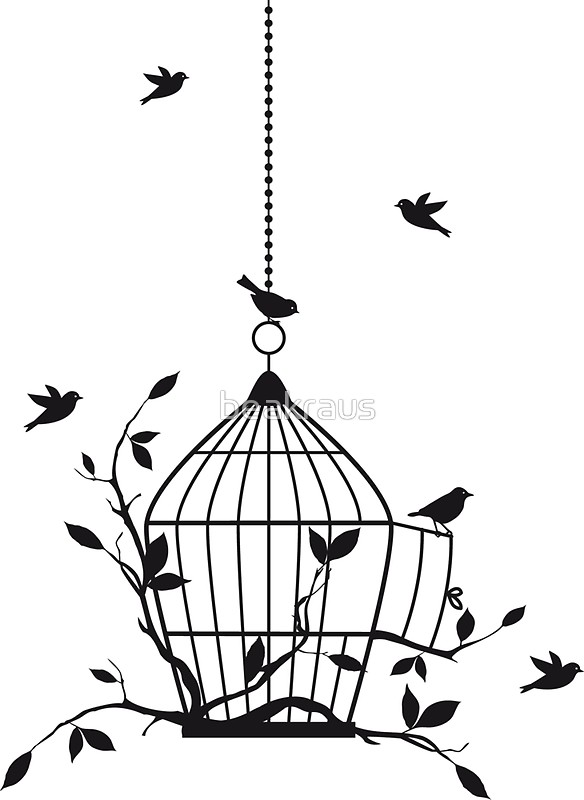 584x800 Free Birds With Open Birdcage Stickers By Beakraus Redbubble