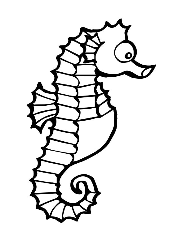 600x776 Seahorse Public Domain Coloring Page Paper Coloring Pages