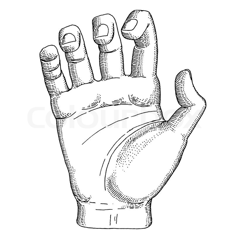 800x800 The Hand With Holding Gesture Stock Vector Colourbox