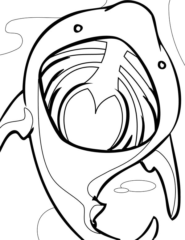 600x776 Mouth Coloring Pages