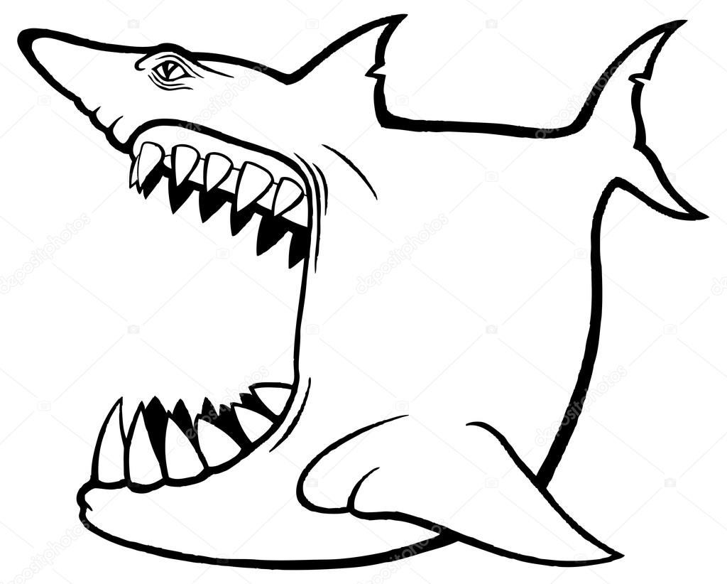 1024x822 Shark With Open Mouth Stock Vector Scotferdon