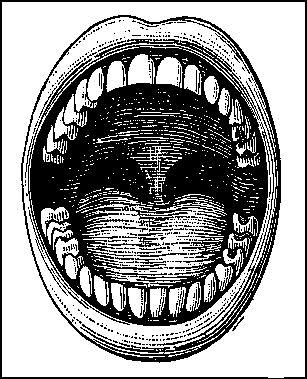 307x379 Mouth Open Huge307x379