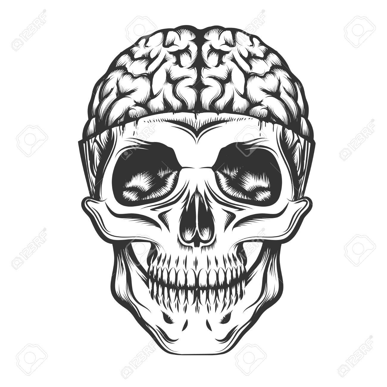 1300x1300 Human Skull With Open Brain. Vector Illustration In Tattoo Style