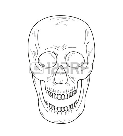 407x450 Skull With Vampire Teeth On White Background, Vector, Sketch