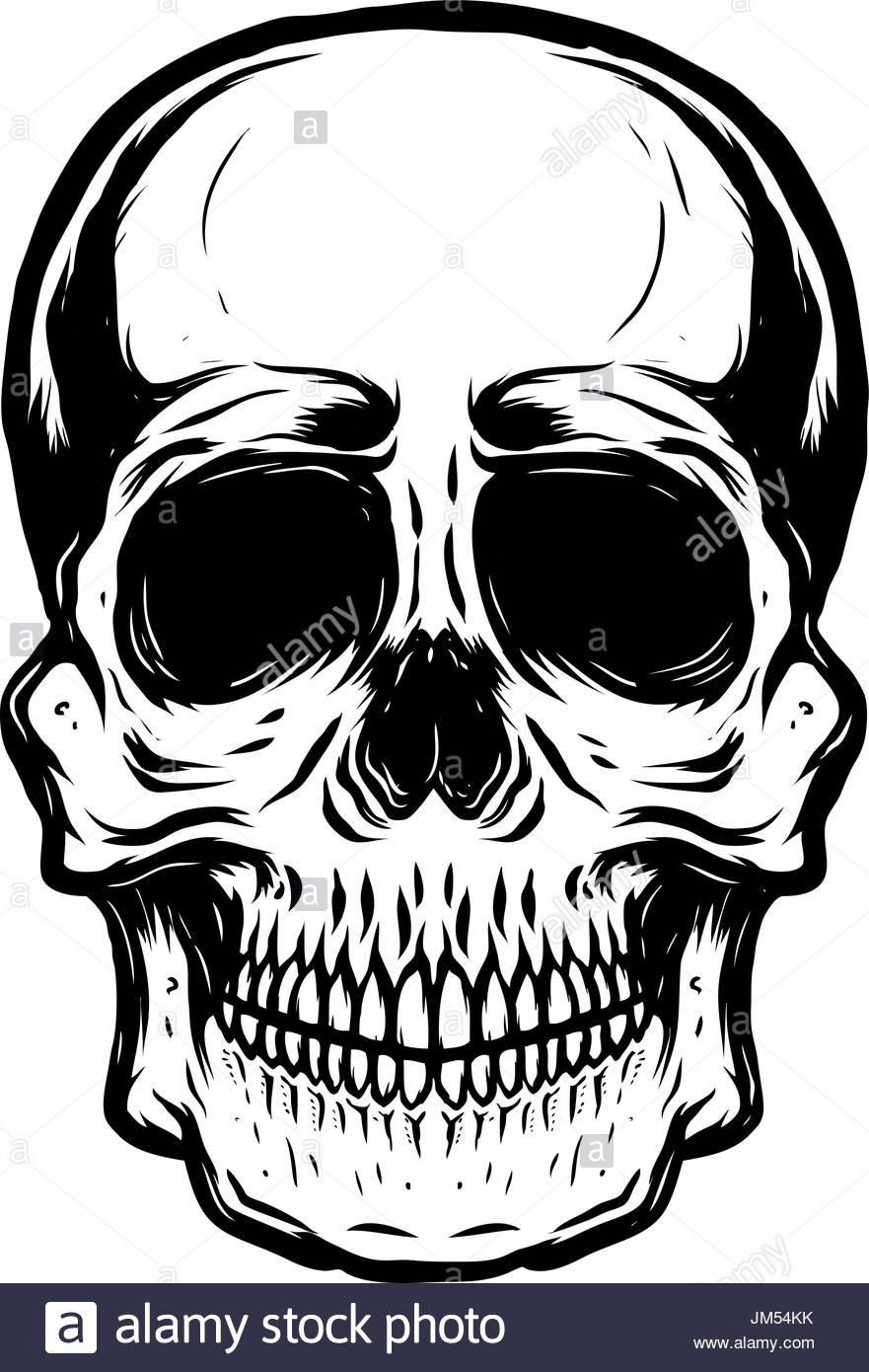 881x1390 Anatomy Human Skull Vintage Engraving Stock Photos Amp Anatomy Human