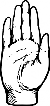 204x425 Hand Palm Outline Clipart Panda