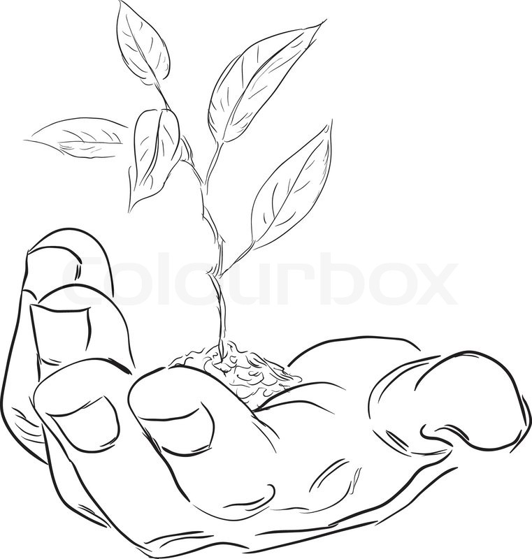 761x800 Man's Hand With A Branch. Vector Illustration. Stock Vector