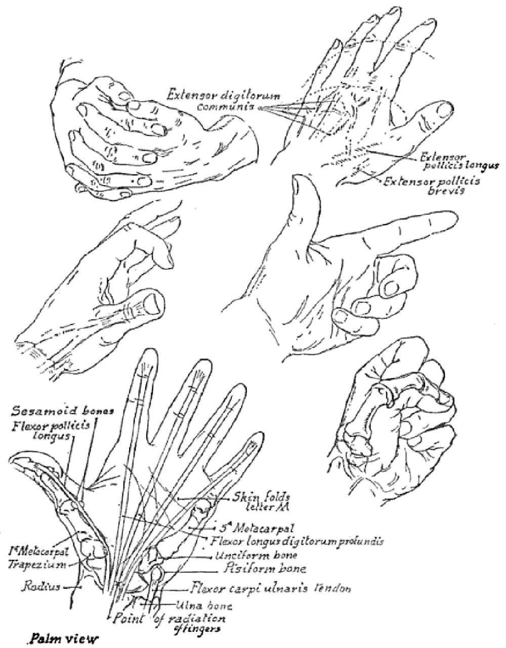 1000x1281 Drawing Hands Techniques For How To Draw Hands With References