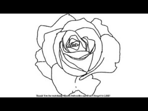 480x360 How To Draw Open Rose Flower Yzarts Yzarts