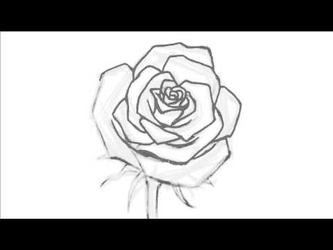 480x360 How To Draw An Open Rose