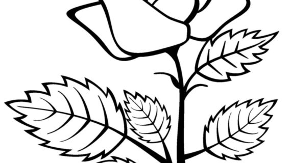 570x320 Rose Drawing For Kids How To Draw A Rose Easy