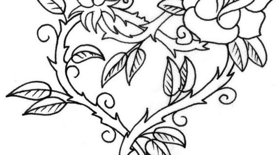 570x320 Rose Flower Picture Drawing How To Draw An Open Rose Flower