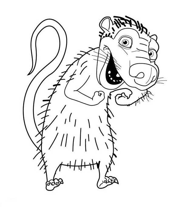 Opossum Drawing at GetDrawings | Free download