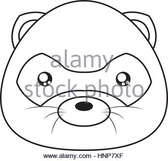 332x320 Opossum Drawing Stock Photo 160759904