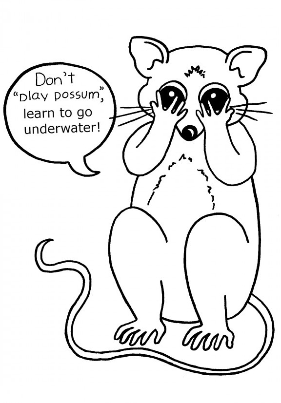 576x827 Top 10 Possum (Opossum) Coloring Pages For Your Kids