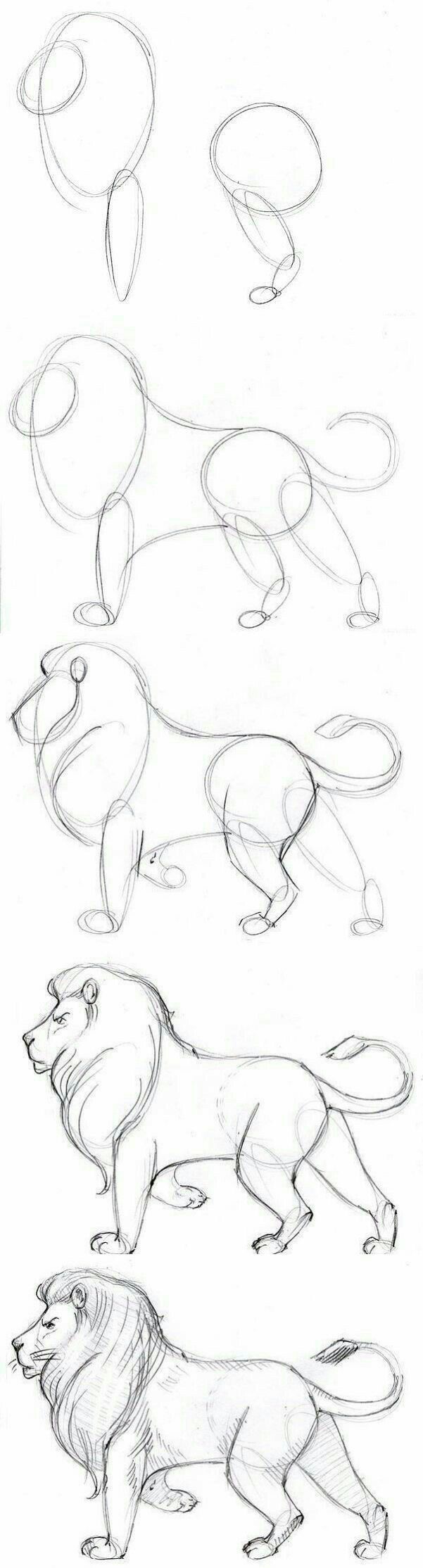 601x2228 Pin By Jennifer Morris On Art Drawing Ideas