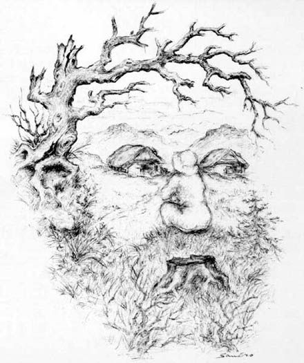 440x525 90 Best Optical Illusions Images On Optical Illusions