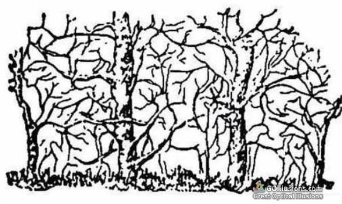 700x417 Great Optical Illusions, Funny Photos And Images, Brain Teasers