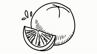 320x180 Orange Fruit Hand Drawing Illustration Animation With Transparent