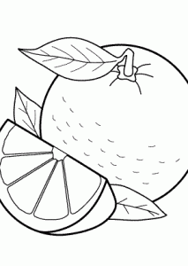 213x300 Orange Fruits Coloring Pages For Kids, Printable Free Coloing