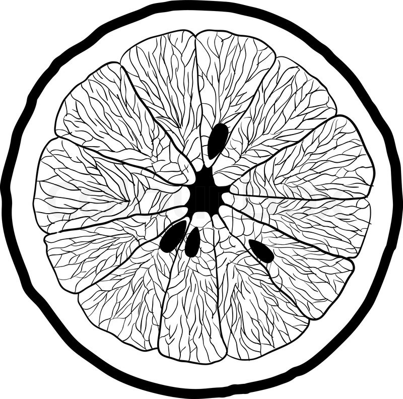 800x792 Slice Of Orange, White Background Stock Vector Colourbox