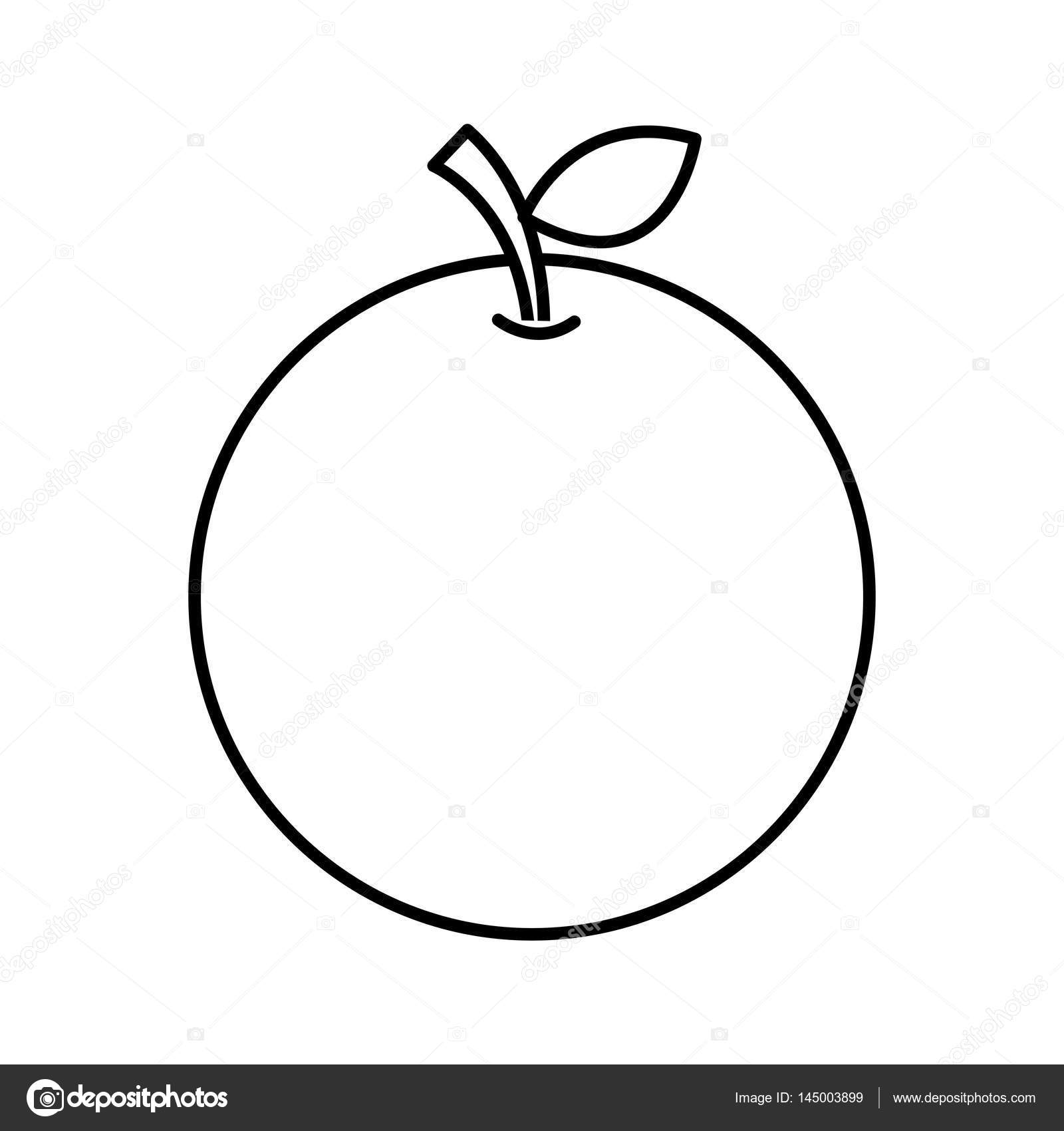 1600x1700 Orange Fresh Fruit Drawing Icon Stock Vector Yupiramos