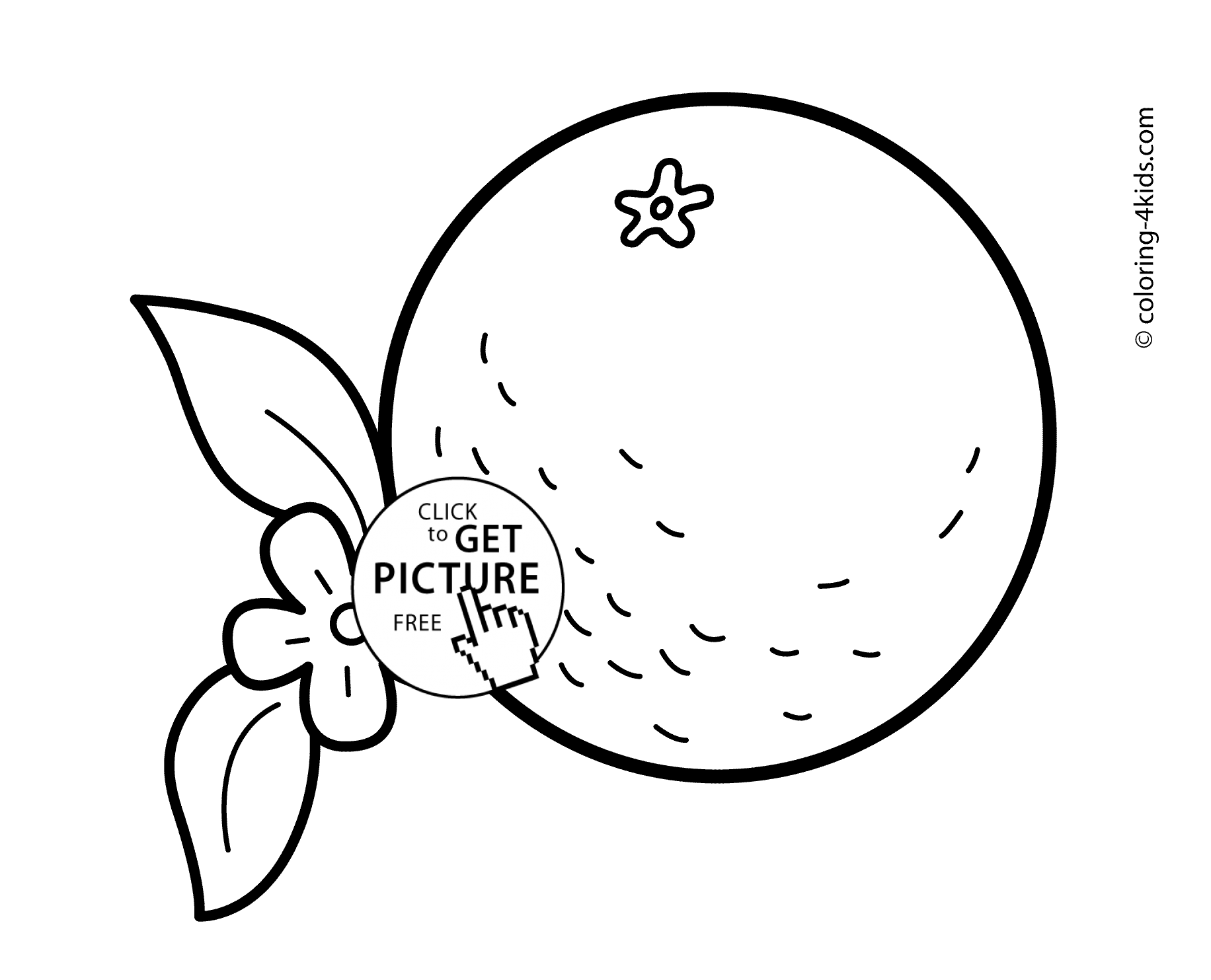 1832x1483 With Flower Fruits Coloring Pages For Kids, Printable Free