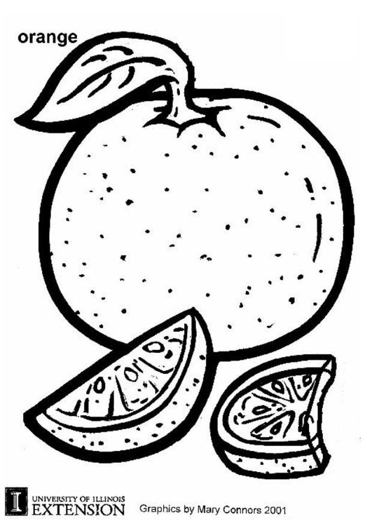 531x750 Coloring Page Orange