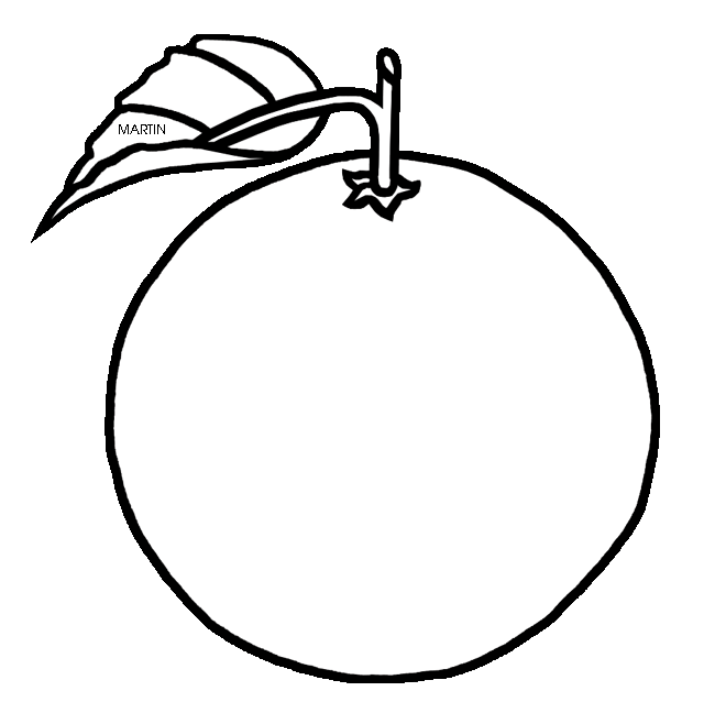 640x648 Orange (Fruit) Clipart Florida