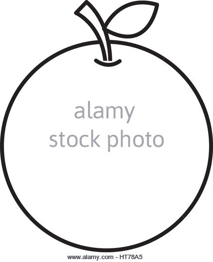 438x540 Orange Fresh Fruit Drawing Icon Stock Photos Amp Orange Fresh Fruit
