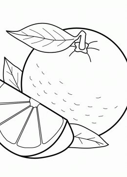 260x362 Orange Coloring Pages For Kids, Big Collection Of Orange