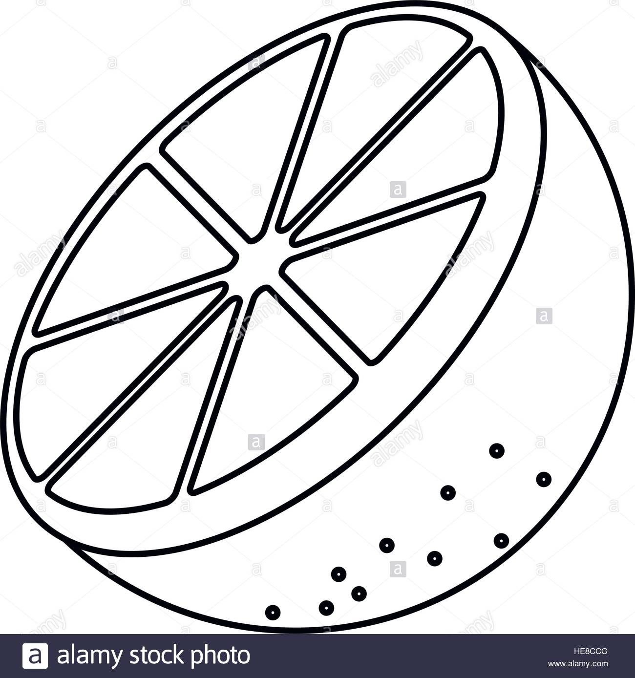 1300x1388 Vector Citrus Fruit Orange Food Orange And Leaves Hand Drawn