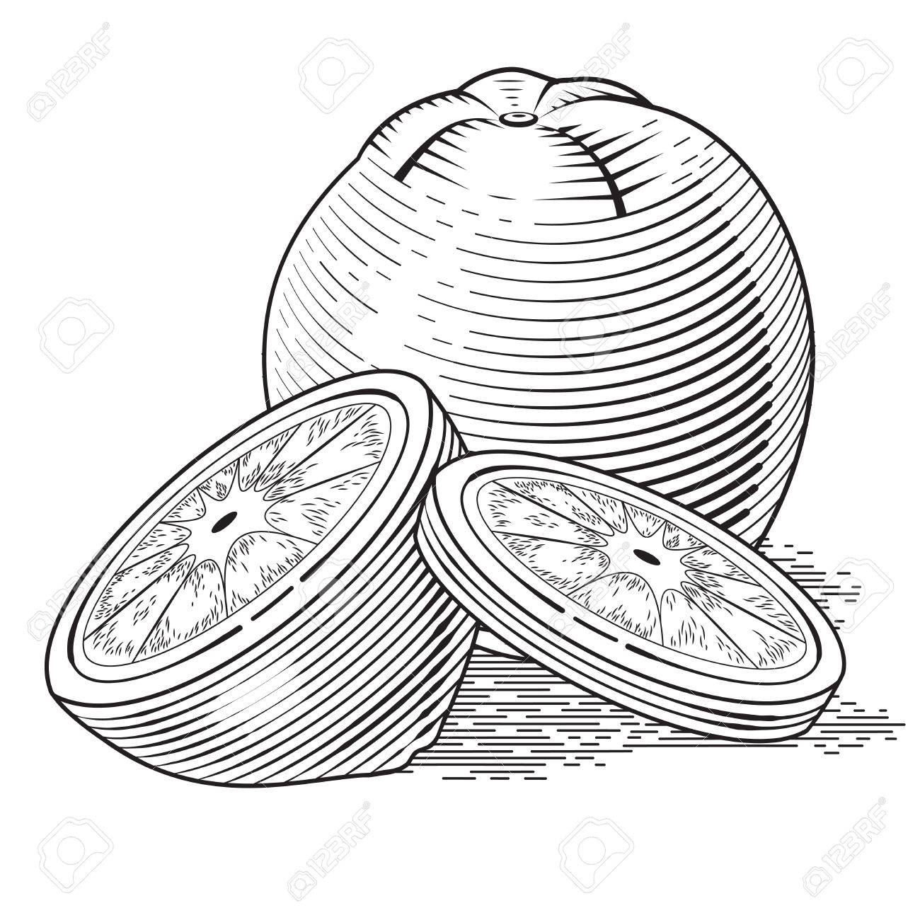 1300x1300 Illustration Of Fresh Orange With Slices. Vector Vintage Fruit