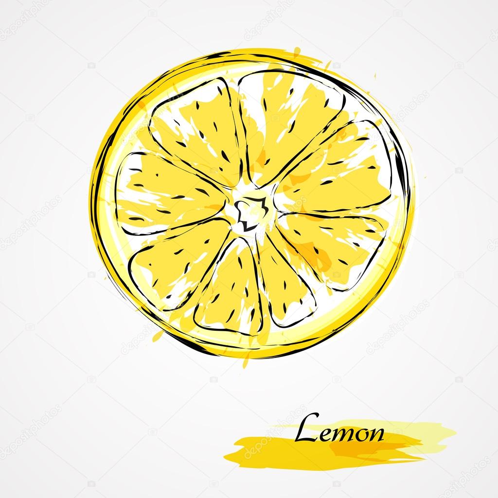 1024x1024 Lemon Slice Stock Vector Kg.karolina