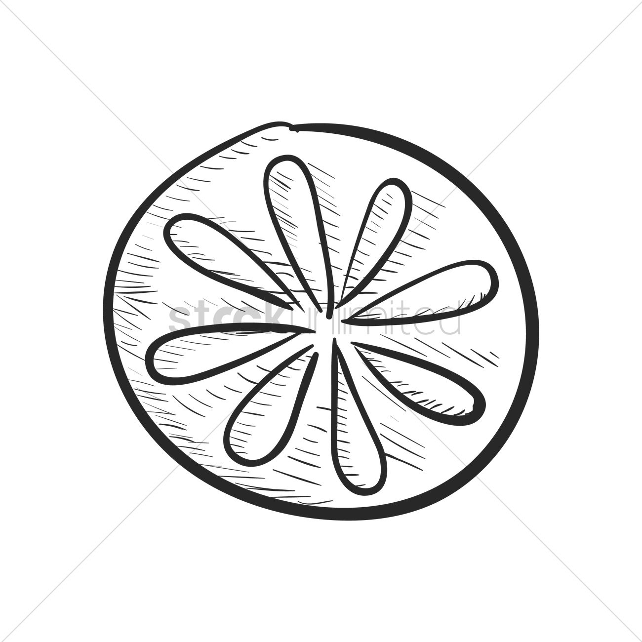 1300x1300 Orange Slice Vector Image