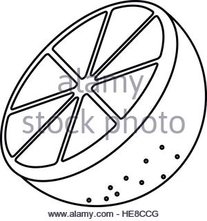 300x320 Drawing Sliced Orange Juicy Stock Vector Art Amp Illustration