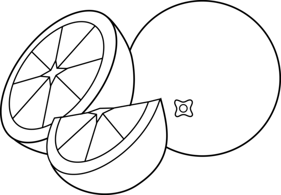 550x382 Citrus Fruits Colorable Line Art