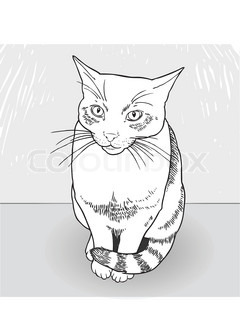 240x320 Blue British Cat With Orange Eyes, Drawing, Illustration, Vector