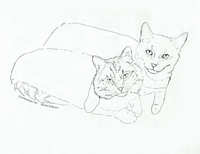 200x154 Cat Art By Cat Painter Rachel