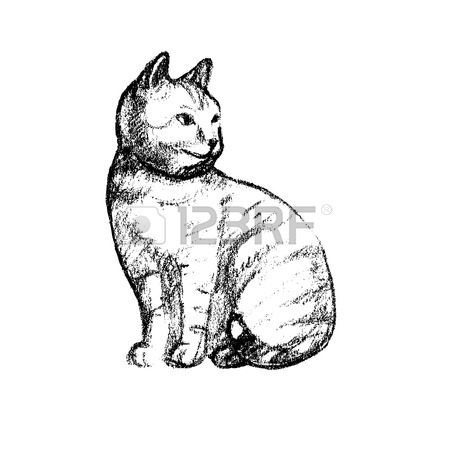 450x450 Neon Portrait Of Cat On A Dark Background Royalty Free Cliparts