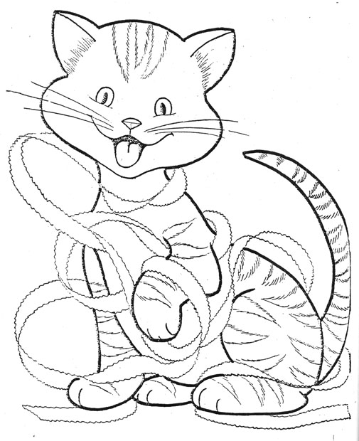 505x620 Orange Tabby Cat