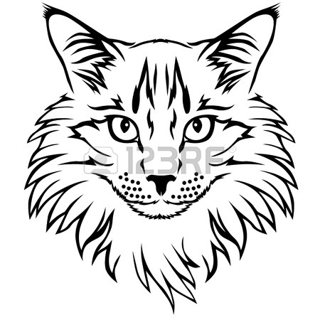 450x450 5,598 Tabby Stock Illustrations, Cliparts And Royalty Free Tabby