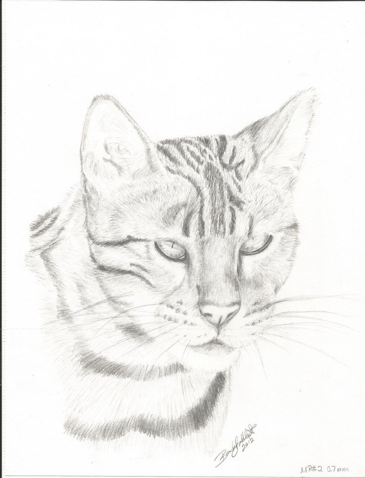 736x964 65 Best Drawings I Love Drawing Images On Drawings