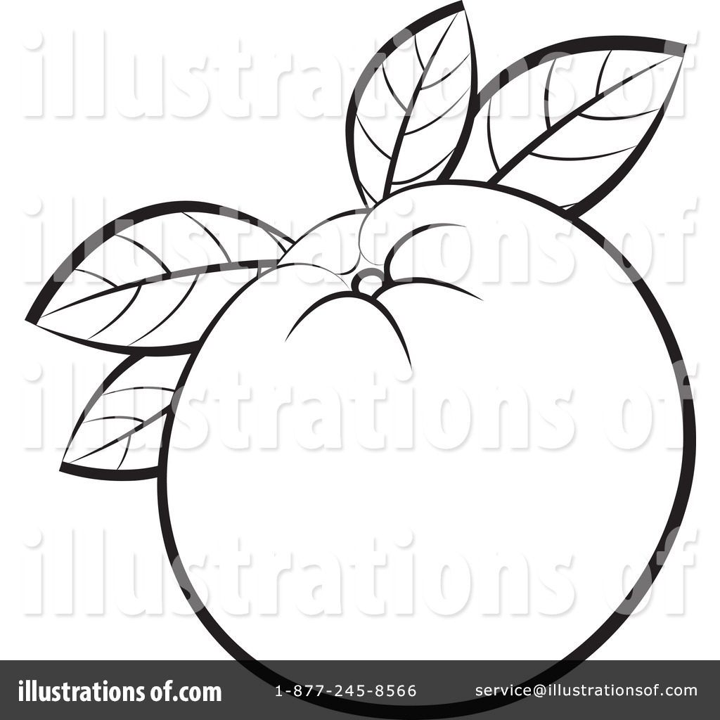 1024x1024 Oranges Clipart