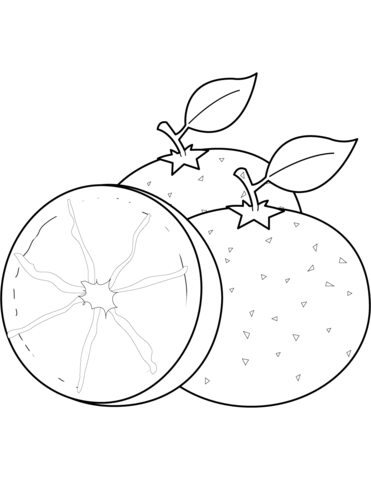 371x480 Oranges Coloring Page Free Printable Coloring Pages